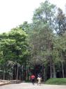 Wald der University