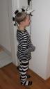 Thorbjörn mir zu Ehren als Zebra :)