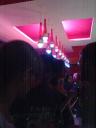 in der Bar