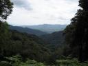 Nyungwe Nationalpark Richtung Nordwesten