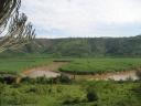 Nyaborongo