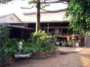 Motel Umbrella Pine in Kibongo