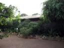 Motel Umbrella Pine in Kibongo