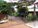 Motel Umbrella Pine in Kibongo
