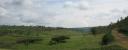 Blick ins Tal bei der Reifenpanne