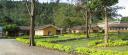 Kibuye Hospital