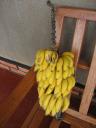 dabei wollte ich doch nur ein paar Bananen…