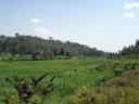 Blick ins Tal kurz vor Gitwe