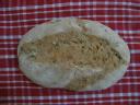 mein selbstgebackenes Vollkornbrot