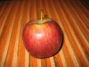 was für ein herrlicher Apfel!