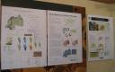 Poster GIS Day 2008 in Butare