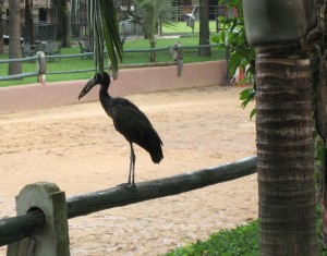 Munyonyo Speke Resort