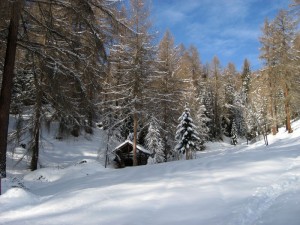 Hütte im Schnee