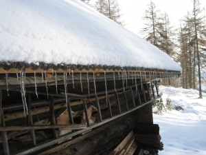Eiszapfen