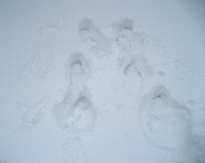 Schnee-Schnee-Weitspringen - oben Markus, in der Mitte ich und unten Victoria