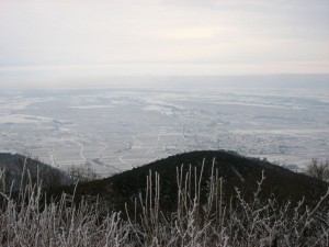 Aussicht von der Kalmit, Ludwigshafener Hütte (673m)