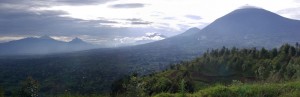 Panorama der Virunga Vulkane