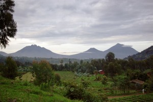 Letzter Blick auf die Blick auf die Virunga Vulkane
