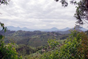Nochmal fast alle Virunga Vulkane auf einen Blick