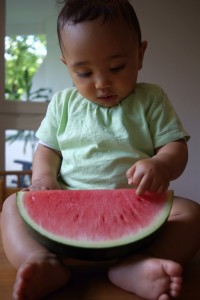Melone zum Anfassen
