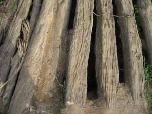 ziemlich löchrige Brücke beim Hash