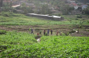 Hash in Kacyiru