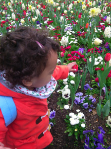 Patricia am Blumenmeer