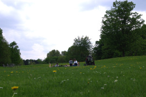 Picknick auf der grünen Wiese