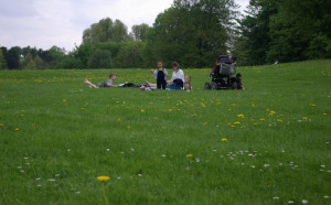 Picknick auf der grünen Wiese