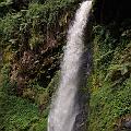 20080712-141748_Kamiranzovu_Wasserfall_Nyungwe_Nationalpark