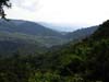 20090605-133617_Uganda_Bwindi_Impenetrable_Forest_National_Park