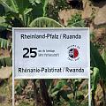 20080714-135444_Kigali