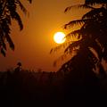 20080715-062021_Sonnenaufgang_zwischen_Rwamagana_und_Akagera_Park