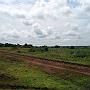20080322-110702_die_wenig_benutzte_Bahnstrecke_zwischen_Jinja_und_Mbale
