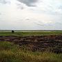 20080322-140706_Ueberschwemmungsgebiet_vor_Soroti