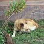 20080322-164508_noch_so_einer