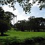 20080324-154254_Botanischer_Garten_Entebbe