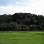 20080324-155217_Urwald_Botanischer_Garten_Entebbe